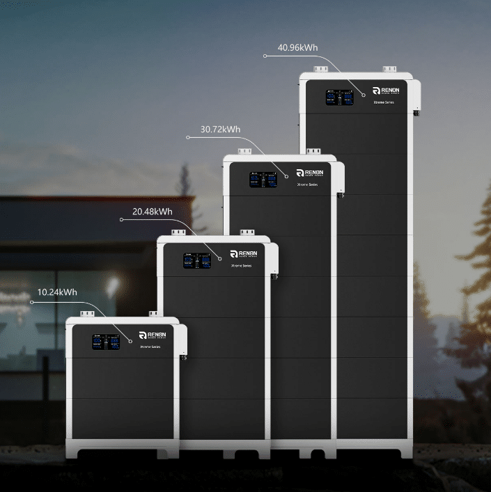 Renon Xtreme LV Battery Module - Image 2