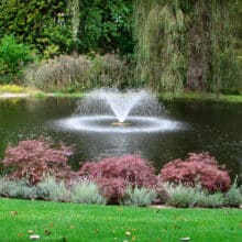 DA-20 Display Aerator – 1/3 HP | 115V