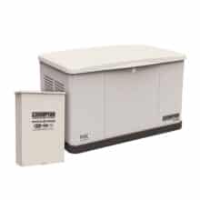10 kW Whole House Home Standby Generator and 100A Switch with fleX Technology